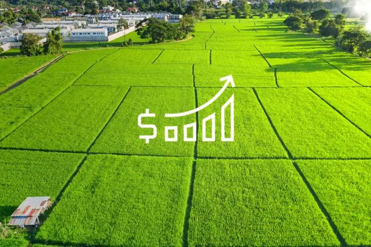 How Land Valuations Perth Are Shaping the Property Market?